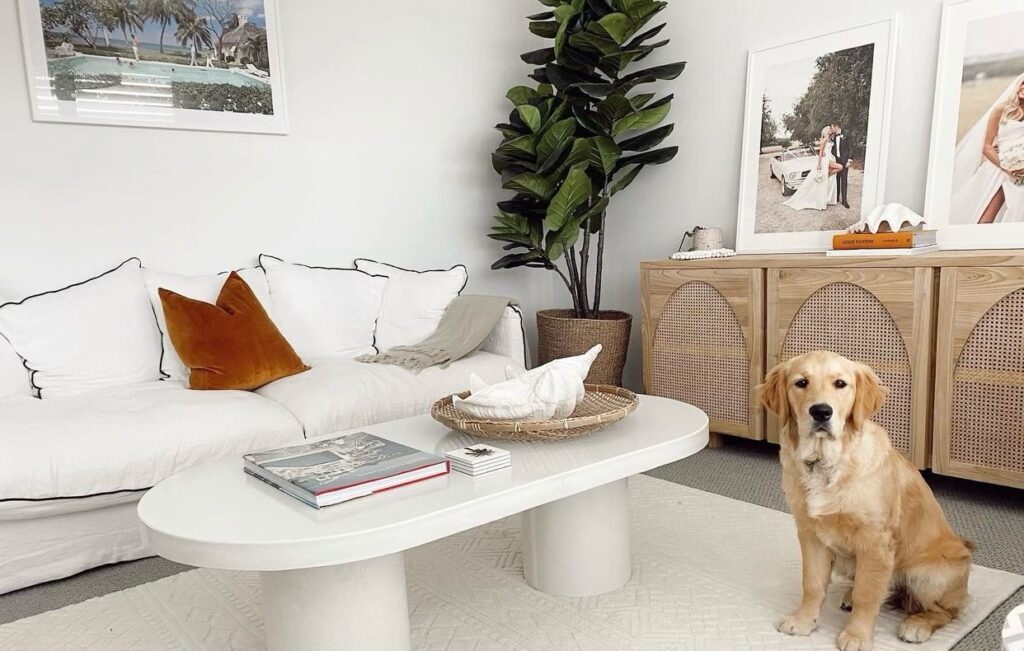 Classic White Oval Coffee Table
